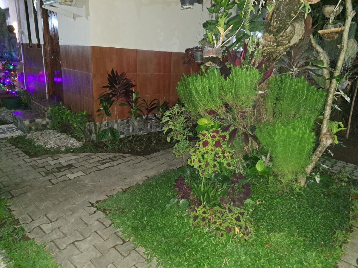 Ascarya Guest House Sanur Eksteriør billede