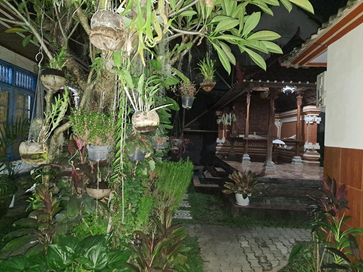 Ascarya Guest House Sanur Eksteriør billede