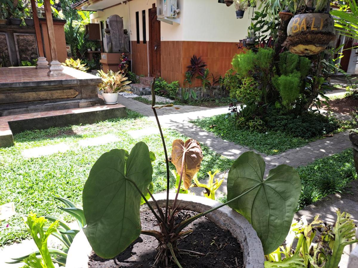 Ascarya Guest House Sanur Eksteriør billede